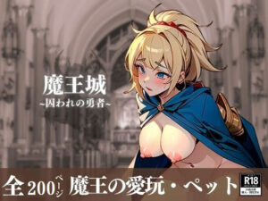 【熟女NTR】下品な本性がバレた勇者の恥態!!!玩具にされて中出しされて嬉し泣きする姿に興奮する 快楽天国な魔王城のペットが最高に可愛い!!!│プロ御用達