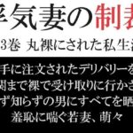 【人妻・主婦同人】浮気妻の制裁 第3巻 丸裸にされた私生活│海老沢  薫