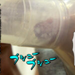 rmer00038│ベロチュウは、母乳味。 丹羽すみれ│人妻素人