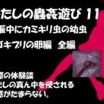 【人妻・主婦同人】私の蟲姦遊び 第11話 妊娠中にカミキリ虫の幼虫とゴキブリの卵編 全編│シングルママの日常