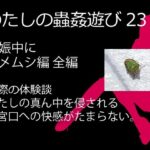 【人妻・主婦同人】私の蟲姦遊び 23話 妊娠中に1匹のカメムシ編 全編│シングルママの日常