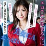 【人妻・主婦同人】エロCAが集まる便にご搭乗頂き誠にありがとうございます│NINJYA
