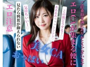 【人妻・主婦同人】エロCAが集まる便にご搭乗頂き誠にありがとうございます│NINJYA