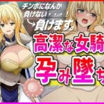 【人妻・主婦同人】【NTR】高潔な女騎士、孕み墜ち。│峰田虎次郎