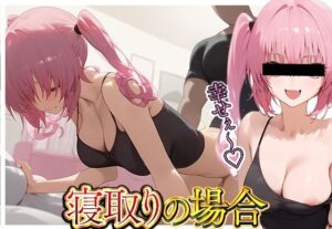 【熟女NTR】寝取りの場合っ！Ver.3│me4aga0