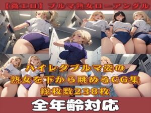 【人妻・主婦同人】【微エロ】フェチコレVol.14 ハイレグビキニ姿の熟女を下から眺めるイラスト集（ローアングル中心）【総枚数238枚】│満点星