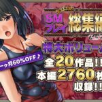 【人妻・主婦同人】【超豪華版】SMプレイ 総集編【どろっぷす！】│どろっぷす！