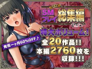 【人妻・主婦同人】【超豪華版】SMプレイ 総集編【どろっぷす！】│どろっぷす！