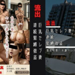 【人妻・主婦同人】流出 巨乳セレブ妻連続緊縛強盗│オハナシ出版