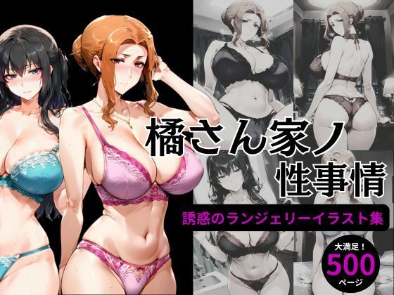 【人妻・主婦同人】橘さん家の性事情 【ランジェリーイラスト集】│えち詩人