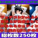 【人妻・主婦同人】【微エロ】フェチコレVol.24吊り上げ拘束されて辱められるウェディングビキニの人妻（黒髪ポニテのみ）【総枚数250枚】│満点星