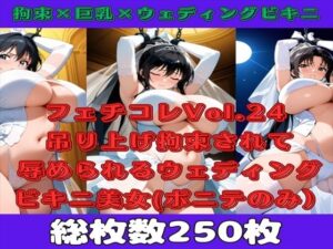 【人妻・主婦同人】【微エロ】フェチコレVol.24吊り上げ拘束されて辱められるウェディングビキニの人妻（黒髪ポニテのみ）【総枚数250枚】│満点星