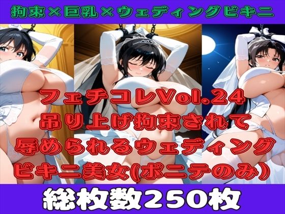 【人妻・主婦同人】【微エロ】フェチコレVol.24吊り上げ拘束されて辱められるウェディングビキニの人妻(黒髪ポニテのみ)【総枚数250枚】│満点星