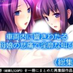 【人妻・主婦同人】車両内に響きわたる母娘の悲痛で淫靡な叫び！  ＜総集編＞│アロマコミック