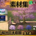 【熟女NTR】みにくる背景CG素材集『桜の日本庭園』│背景専門店みにくる