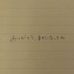 sivr00483│【VR】隣に越してきたモラハラ夫から身を隠す訳アリ巨乳人妻‘めいさん’とたった一度だけ身を寄せ合い貪り合ったアノ夜 鷲尾めい│人妻素人